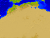 Algerien Vegetation 1600x1200